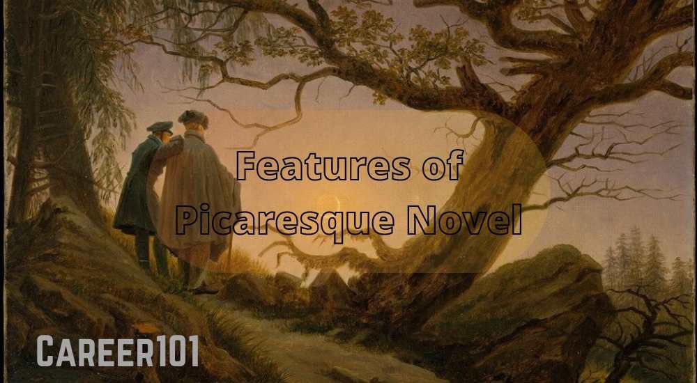 Features of Picaresque Novel