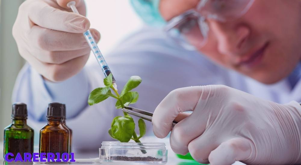 Know all About MSc in Biotechnology