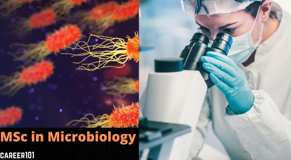 MSc in Microbiology Course