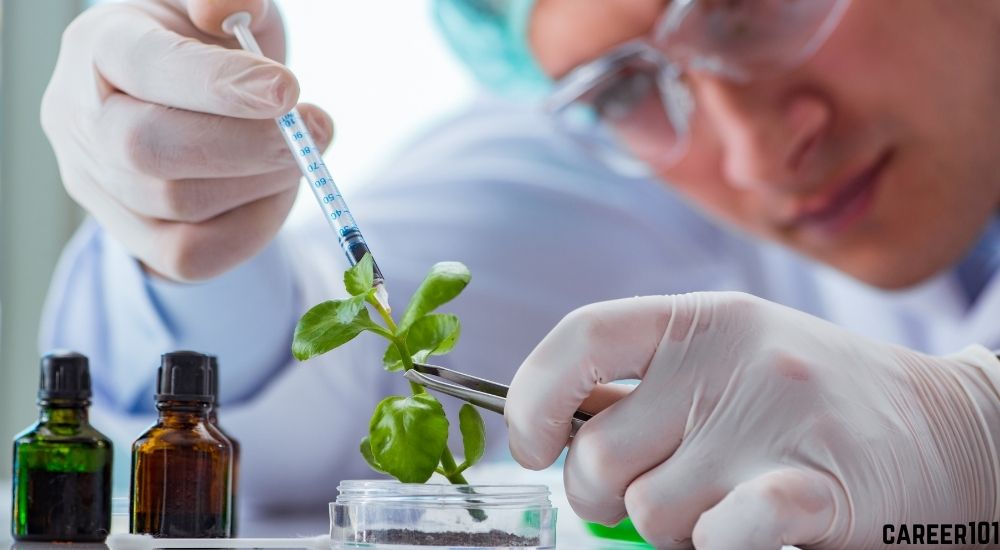All about BSc biotechnology Course