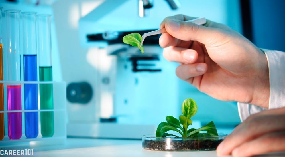 All about Btech Biotechnology Course