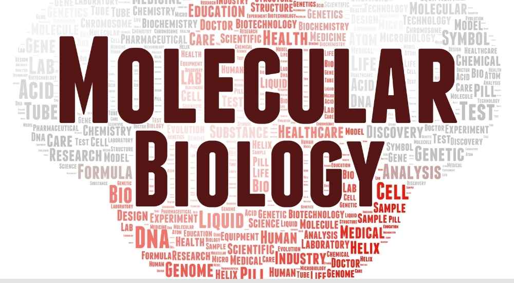 All about MSc in Molecular Biology