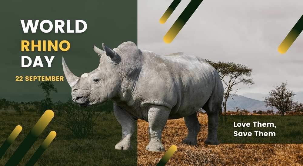World Rhino Day – History, Significance, Quotes, Current Theme & Know How to Celebrate 22 September?