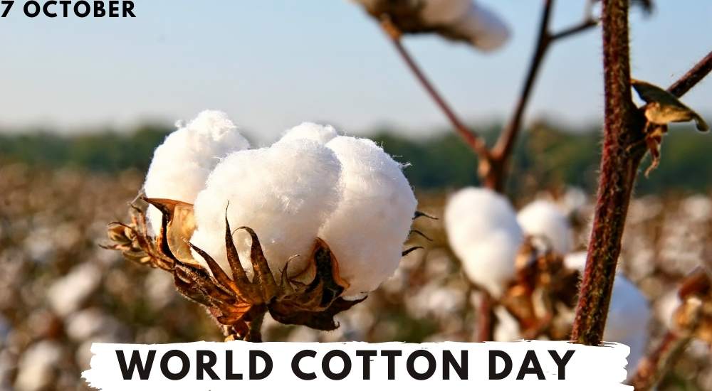 World Cotton Day 2022- History, Significance, Theme, Quotes & know How We can Celebrate It?