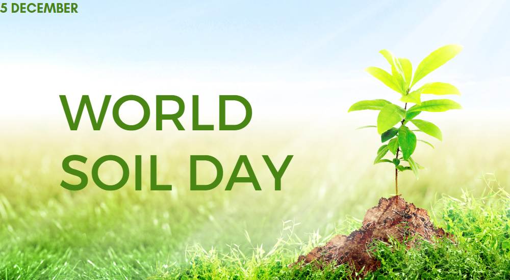 World Soil Day 2022: History, Significance, Theme, Quotes, & Know How We can Contribute to Save Soil?