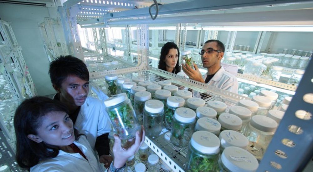 Agricultural Scientists